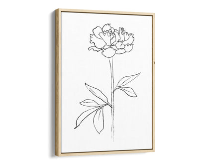 Minimalist black and white line drawing of a peony flower in a natural wood frame, printed on a white canvas background.