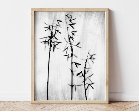 Black and White Bamboo Print