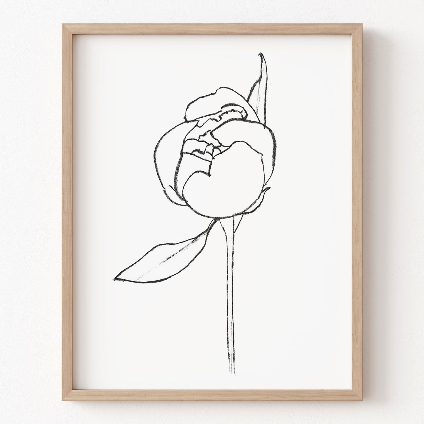 Framed line drawing of a flower on a white wall