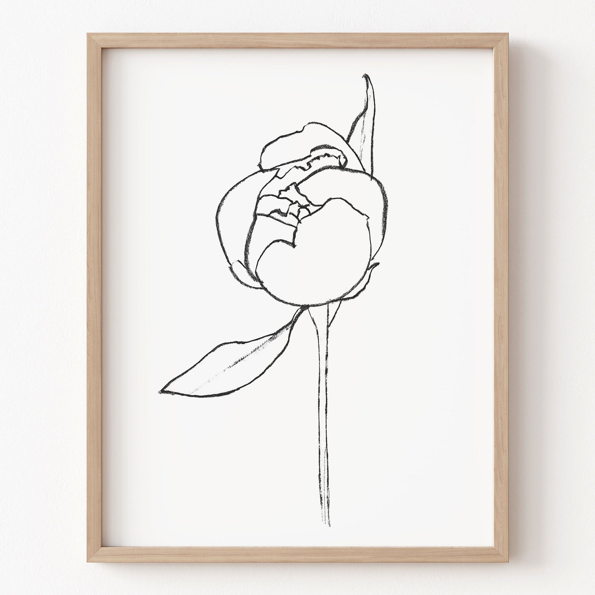 Framed line drawing of a flower on a white wall
