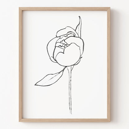 Framed line drawing of a flower on a white wall