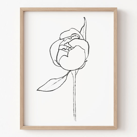 Framed line drawing of a flower on a white wall