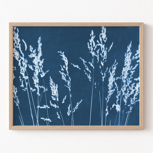 Framed artwork of white grasses on a blue background