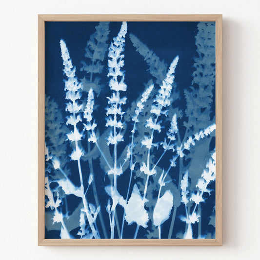 Framed artwork of blue floral design on a white wall
