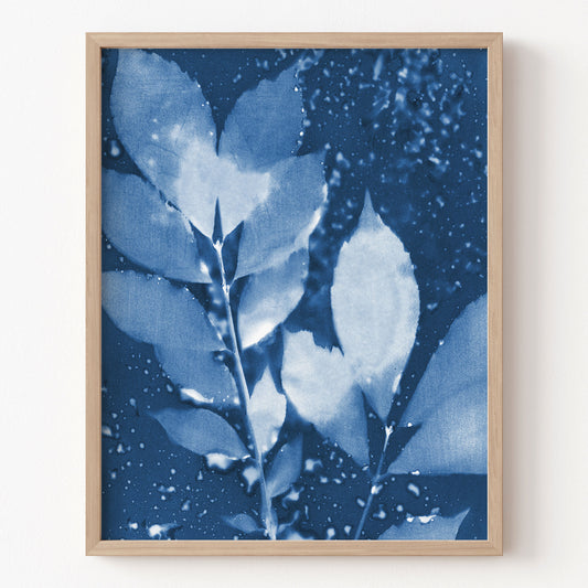 Framed artwork of blue-toned leaves on a dark blue background
