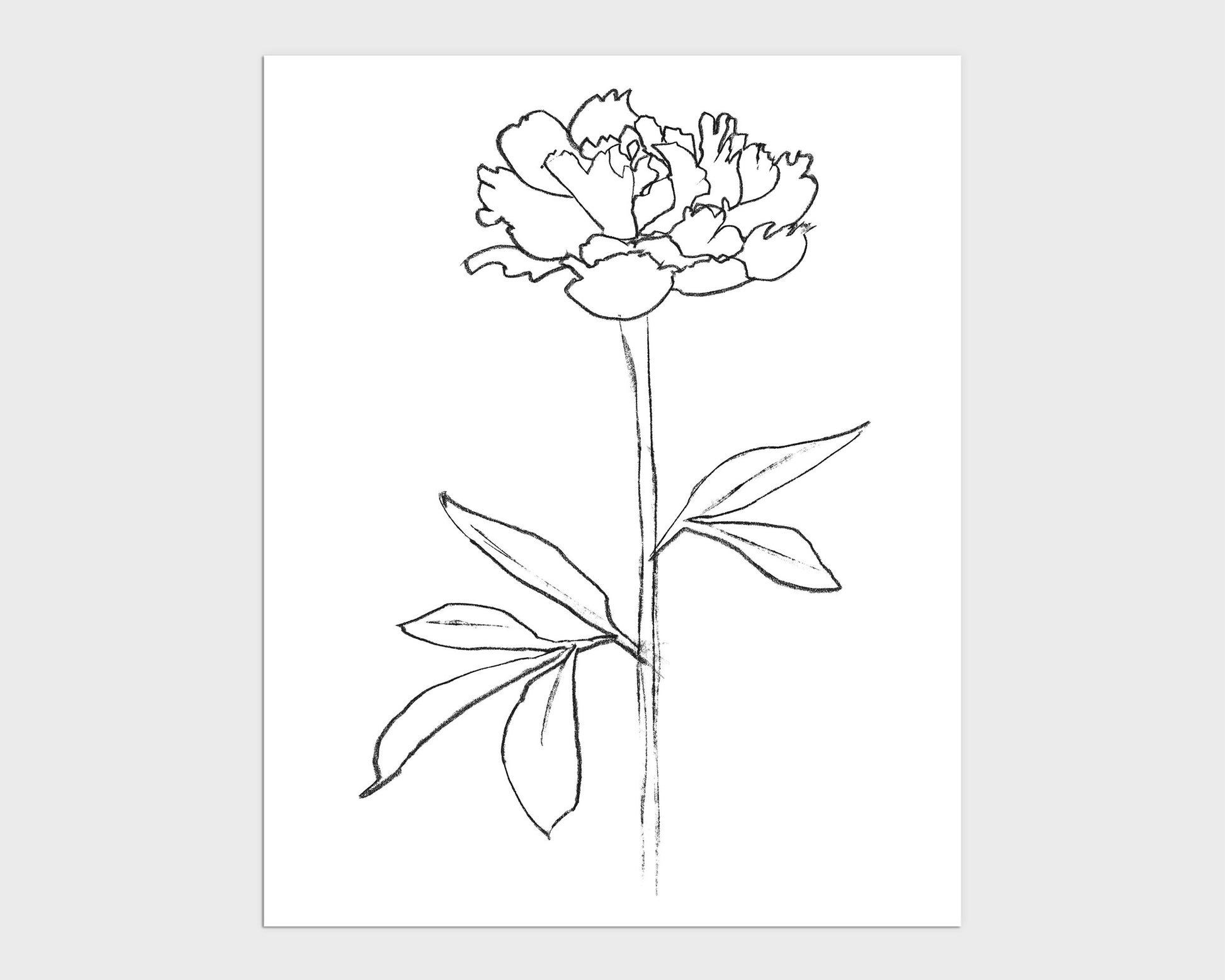 Minimalist black-and-white line drawing of a blooming peony with a slender stem and elongated leaves, set against a white background.
