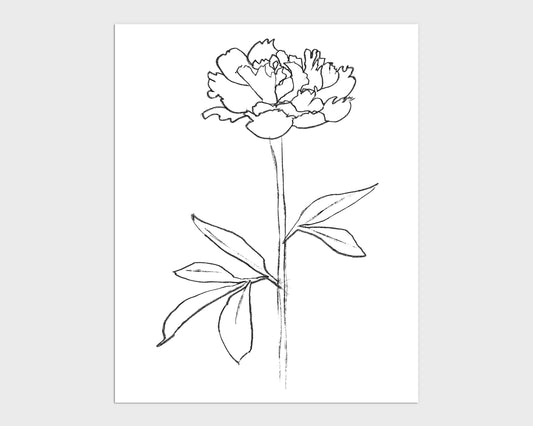 Minimalist black-and-white line drawing of a blooming peony with a slender stem and elongated leaves, set against a white background.