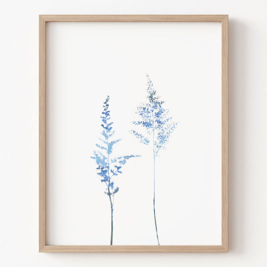 Framed artwork of blue floral branches on a white background