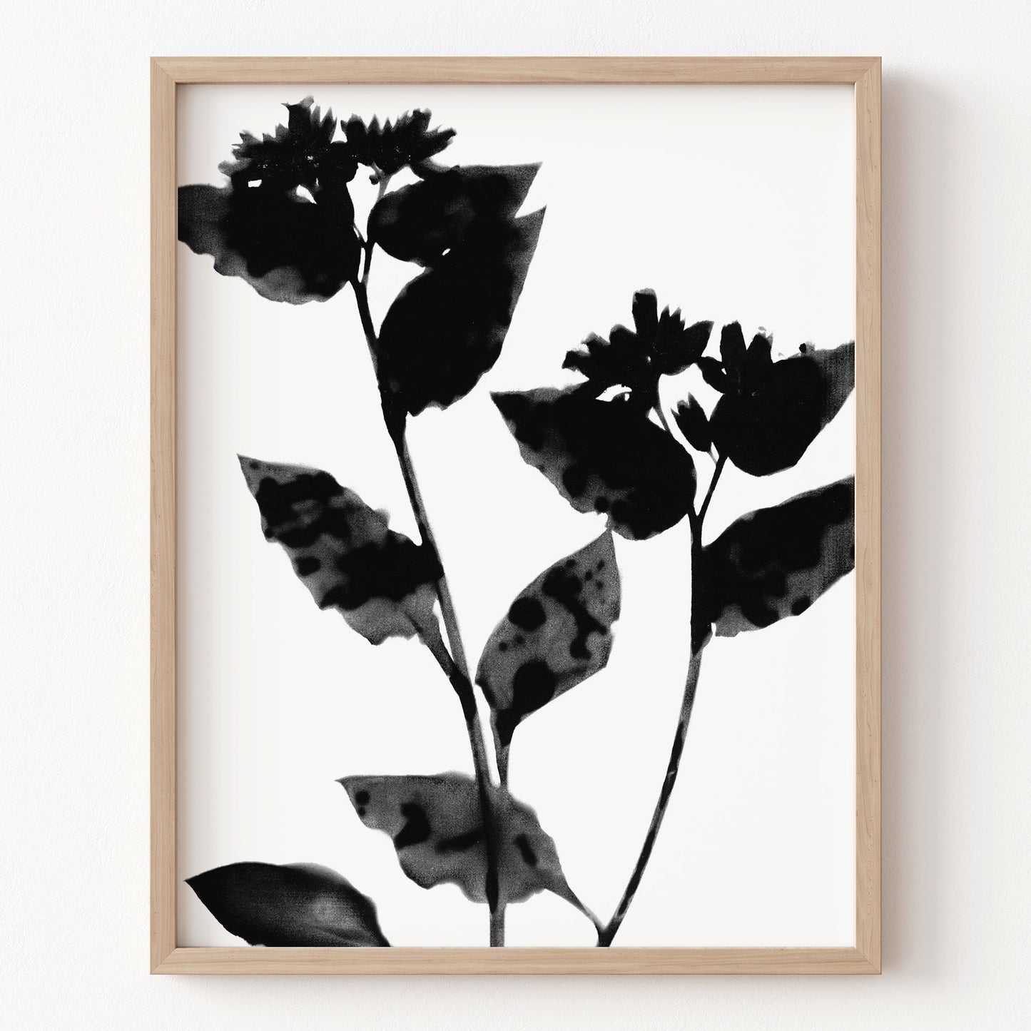 Framed artwork of black leaves on a white background