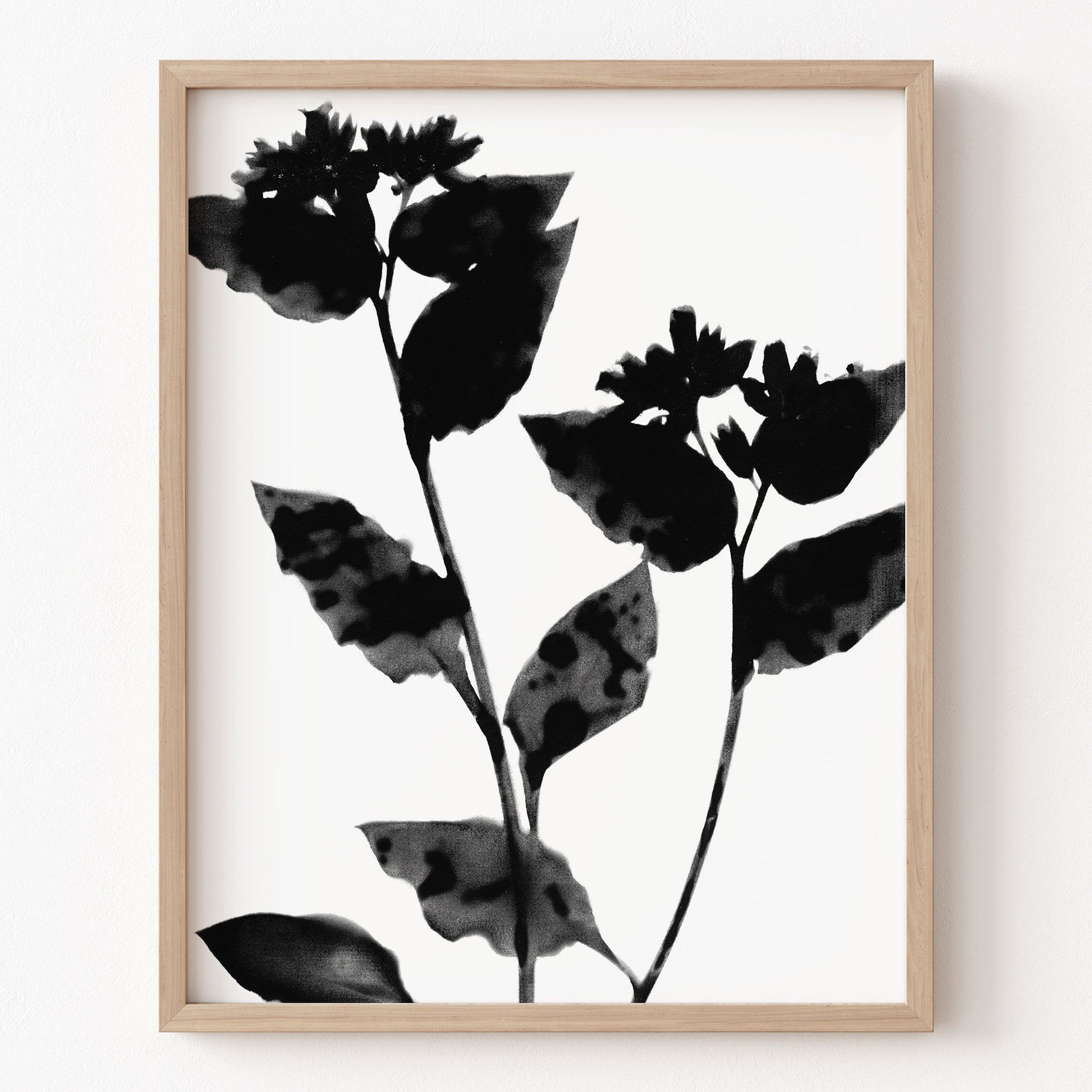 Framed artwork of black leaves on a white background