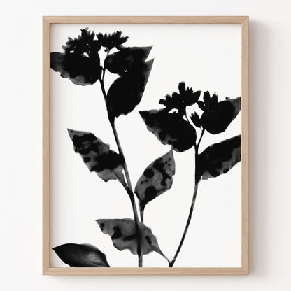 Framed artwork of black leaves on a white background