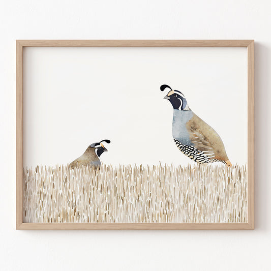 Framed artwork of two birds standing in grass on a white background
