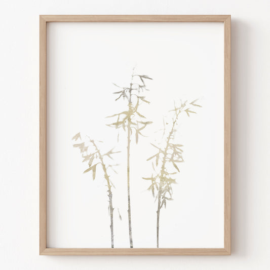 Framed artwork of bamboo on a white background