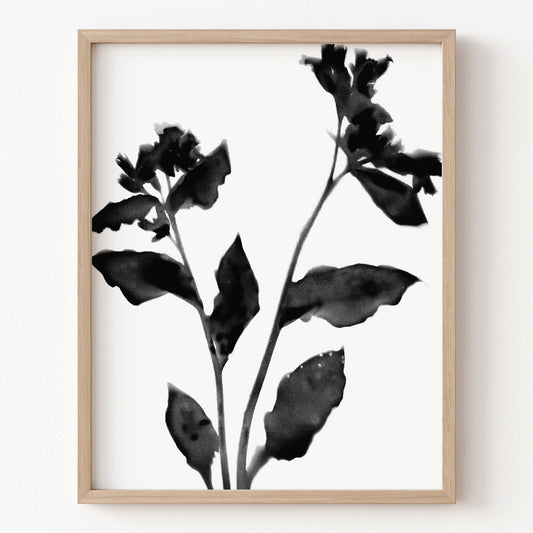 Framed artwork of black floral leaves on a white background