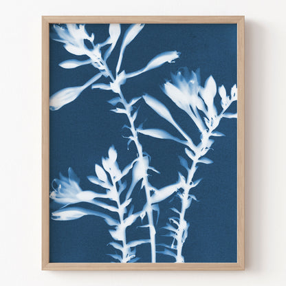 Framed artwork of white floral silhouette on a blue background