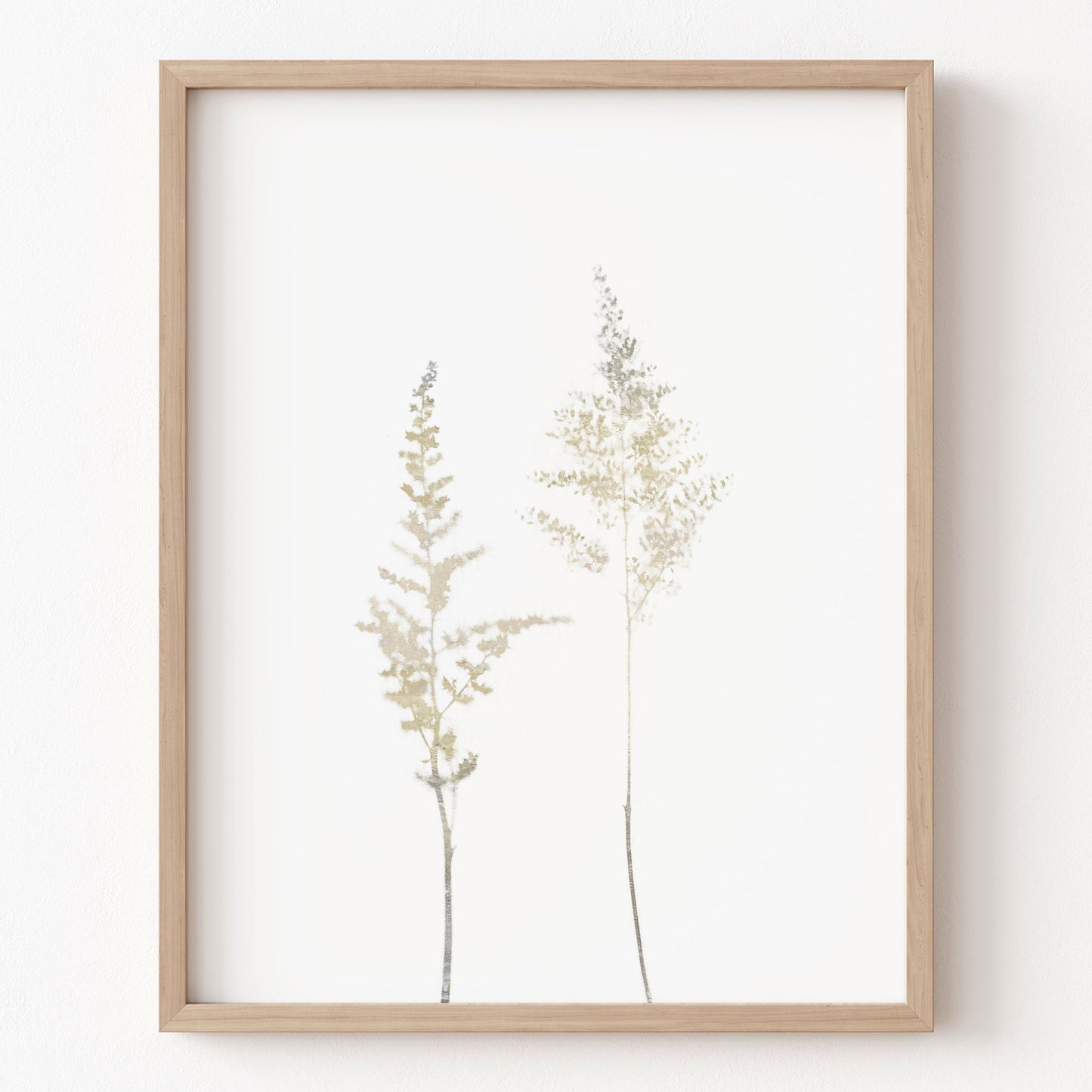 Framed artwork of two tall, thin plants on a white background