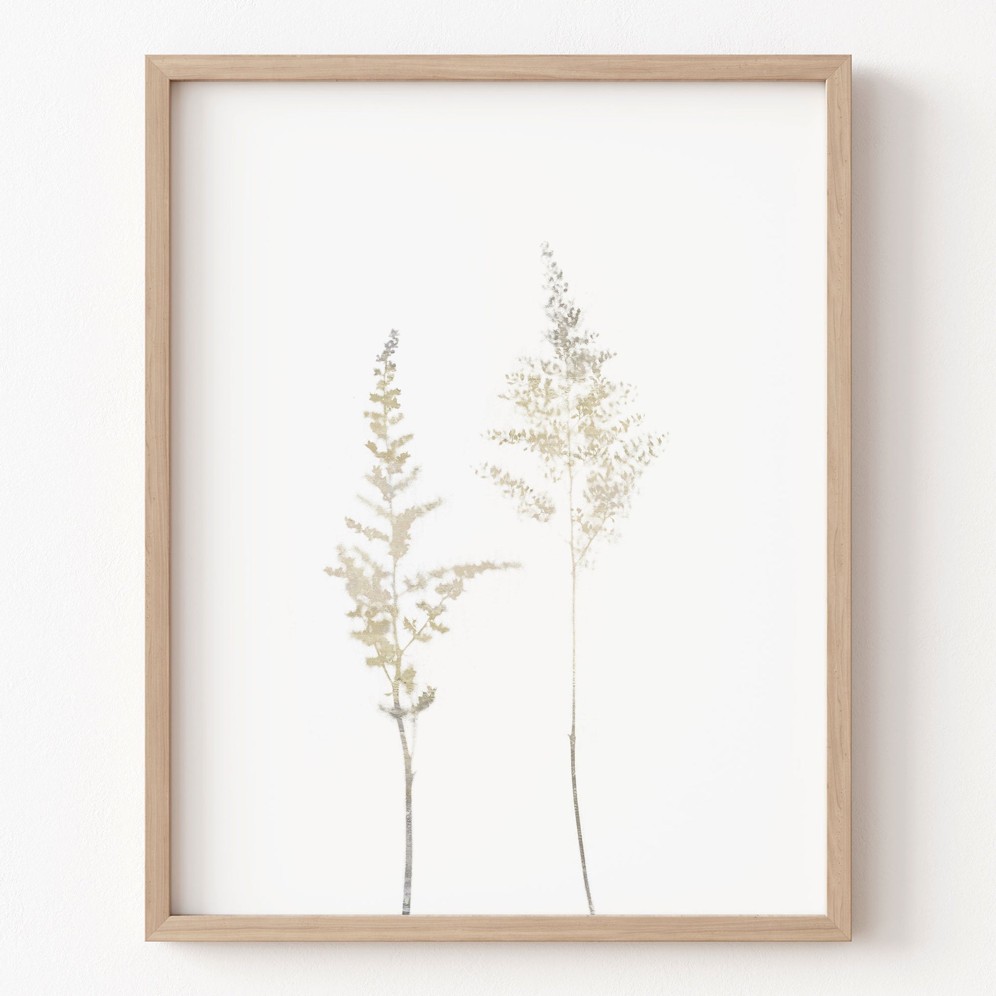 Framed artwork of two tall, thin plants on a white background
