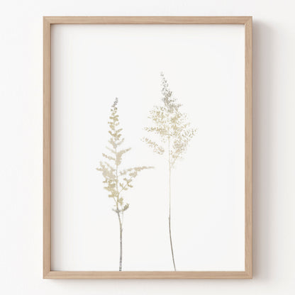 Framed artwork of two tall, thin plants on a white background