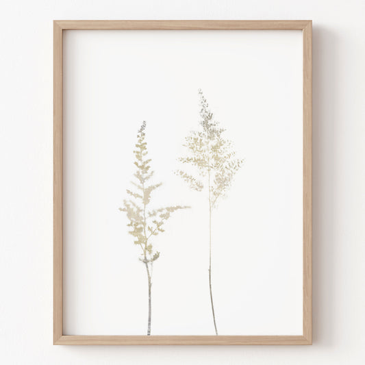 Framed artwork of two tall, thin plants on a white background