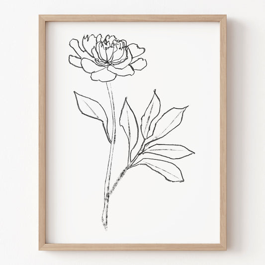 Framed line drawing of a flower on a white background