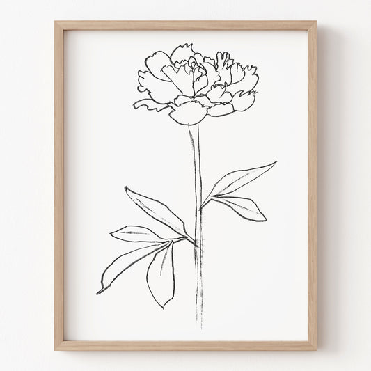 Framed line drawing of a flower on a white wall