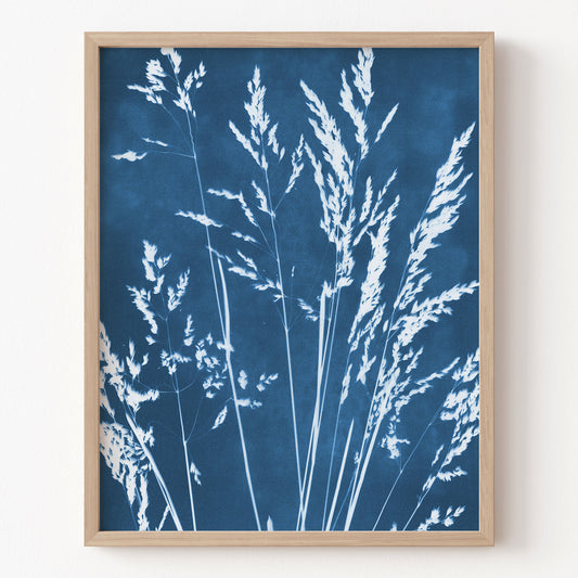 Framed artwork of white grasses on a blue background