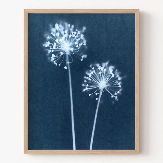 Framed artwork of white flowers on a blue background