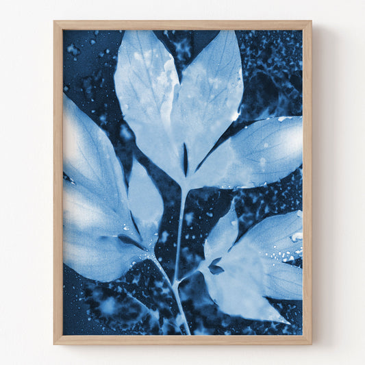 Framed artwork of blue leaves on a white wall