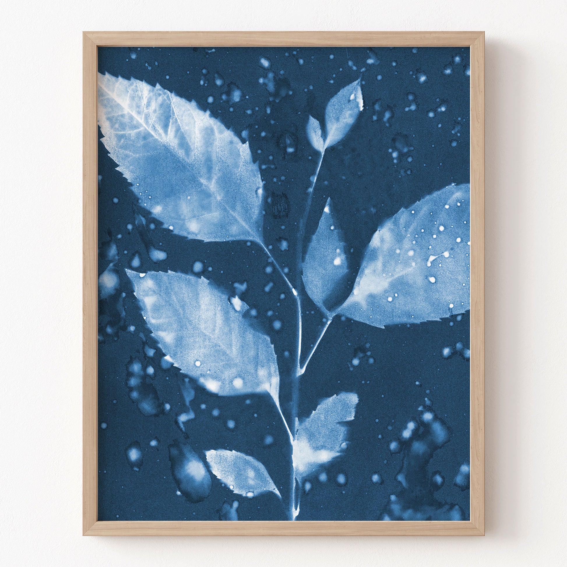 Framed artwork of leaves with water droplets on a dark blue background