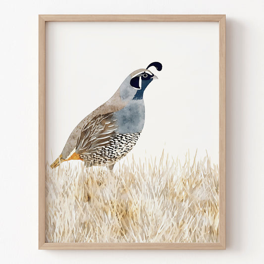 Framed artwork of a bird in a natural setting on a white wall