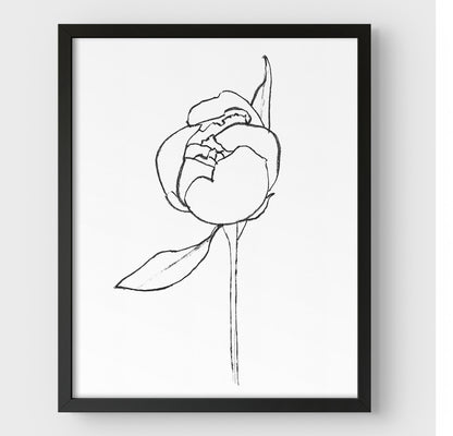 Framed minimalist line drawing of a peony bud with a single leaf, enclosed in a black frame against a white background.
