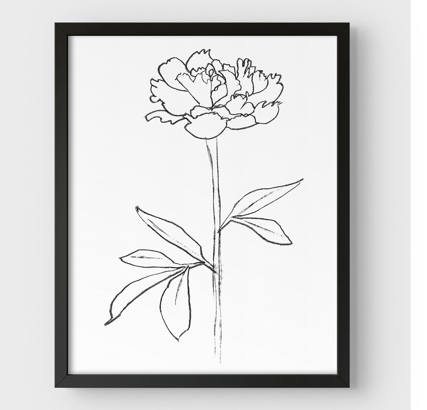 Minimalist black and white line drawing of a peony flower, framed in black against a white background.