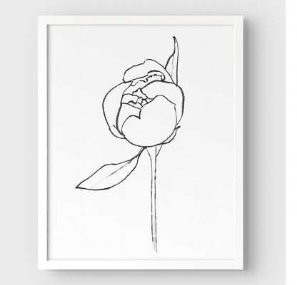 Framed minimalist line drawing of a peony bud with a single leaf, enclosed in a white frame against a white background.