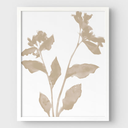 Beige Flower Silhouette II Print