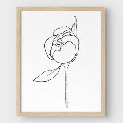 Framed minimalist line drawing of a peony bud with a single leaf, enclosed in a natural wood frame against a white background.