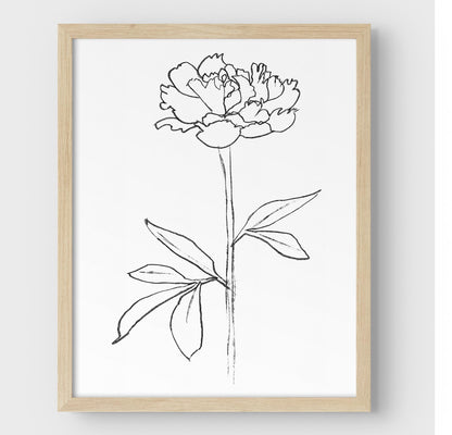 Minimalist black and white line drawing of a peony flower, framed in natural wood against a white background.