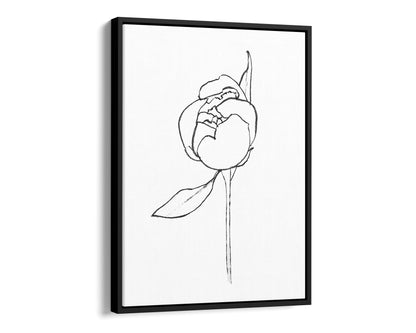Black framed canvas print of a minimalist line drawing depicting a peony bud with a single leaf, set against a white background.