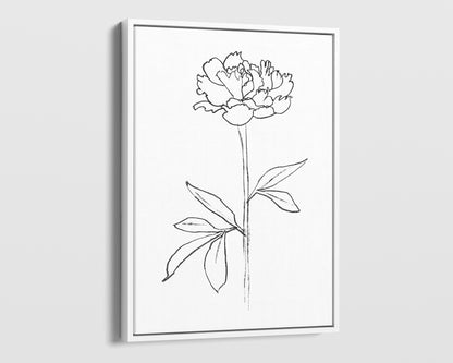 Minimalist black and white line drawing of a peony flower in a white frame, printed on a white canvas background.