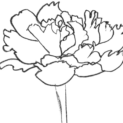 Peony II Print
