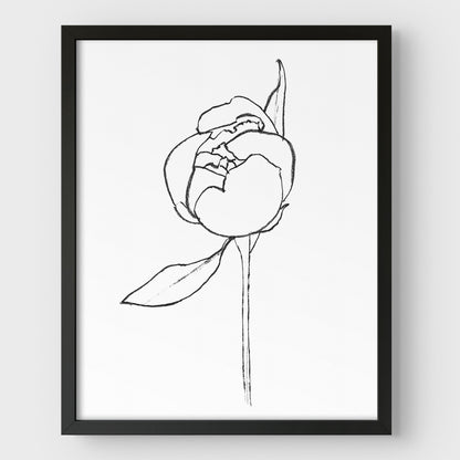 Blooming Peony Print