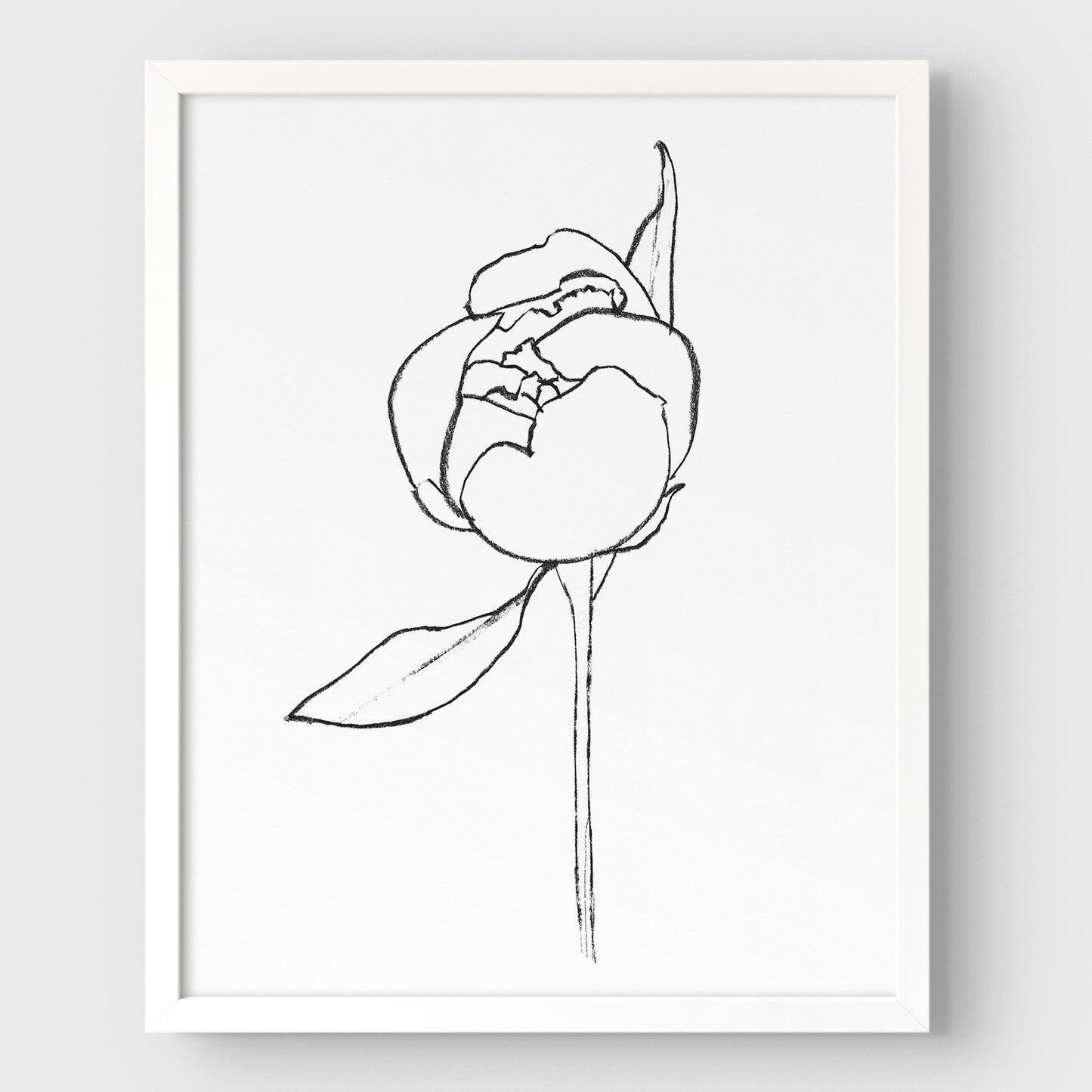 Blooming Peony Print