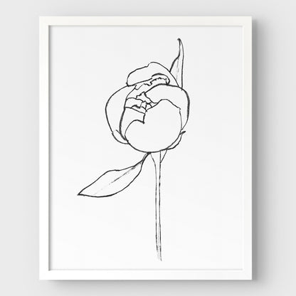 Blooming Peony Print
