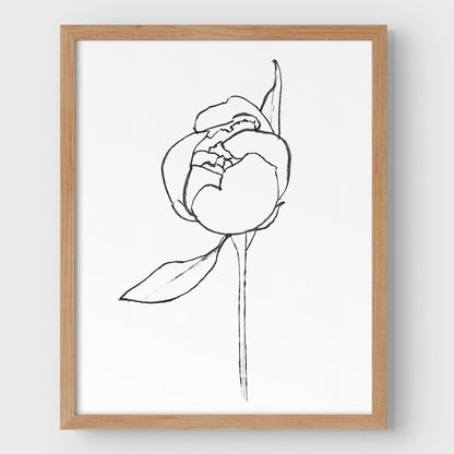 Blooming Peony Print