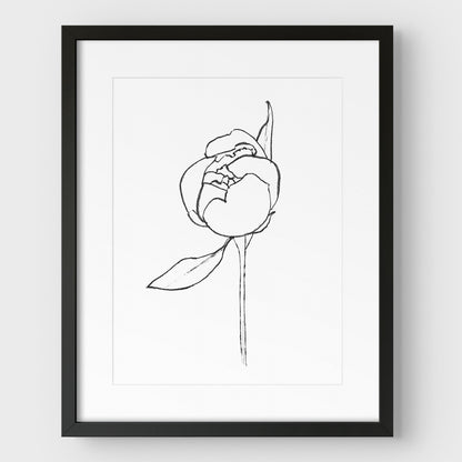 Blooming Peony Print