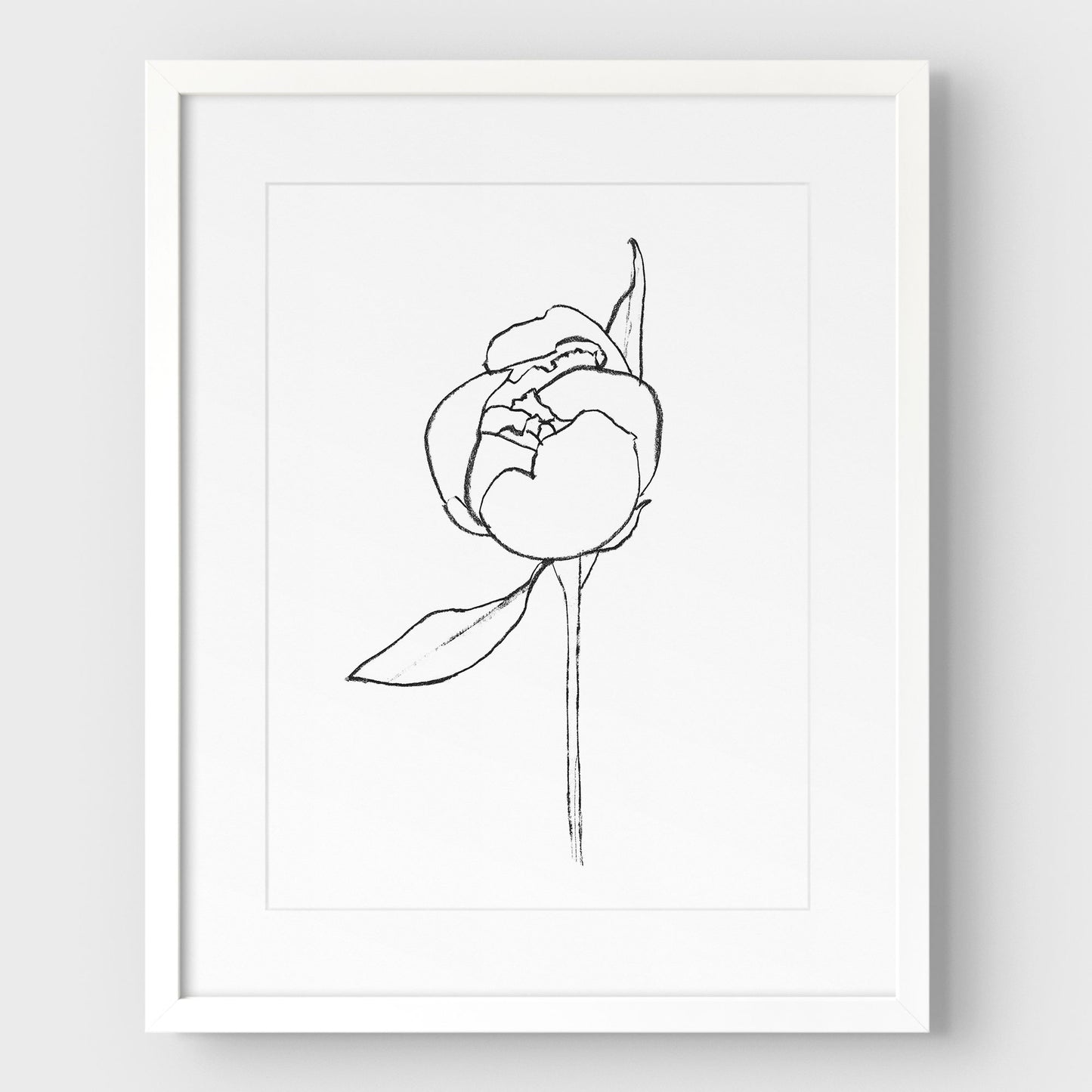 Blooming Peony Print