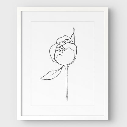 Blooming Peony Print
