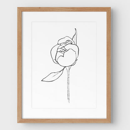Blooming Peony Print