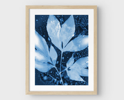 Framed cyanotype print of peony leaves in rich indigo and soft blue tones, featuring delicate leaf silhouettes and organic speckling, set against a clean white background with a natural wood frame.