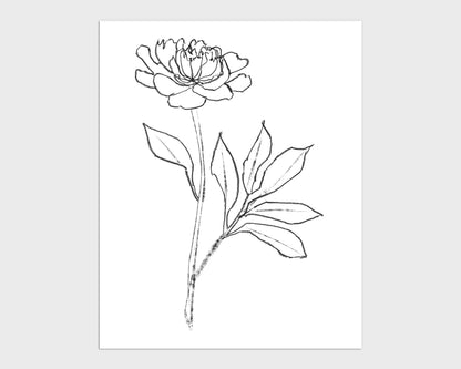 Minimalist black and white line drawing of a blooming peony with detailed petals and elongated leaves on a white background.