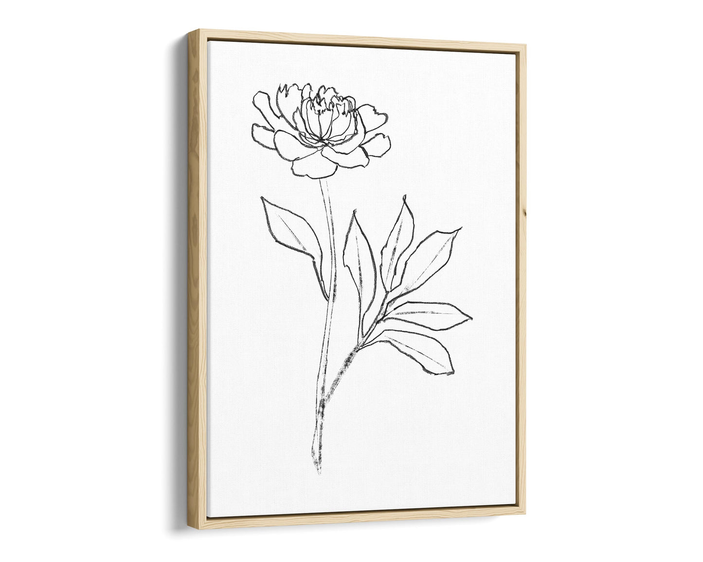 Minimalist black-and-white line drawing of a peony flower on natural wood framed canvas, featuring delicate petals and leaves against a white background.